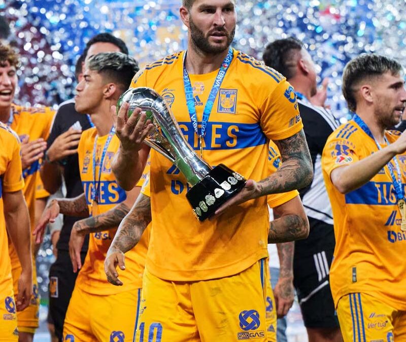 Tigres a la Final