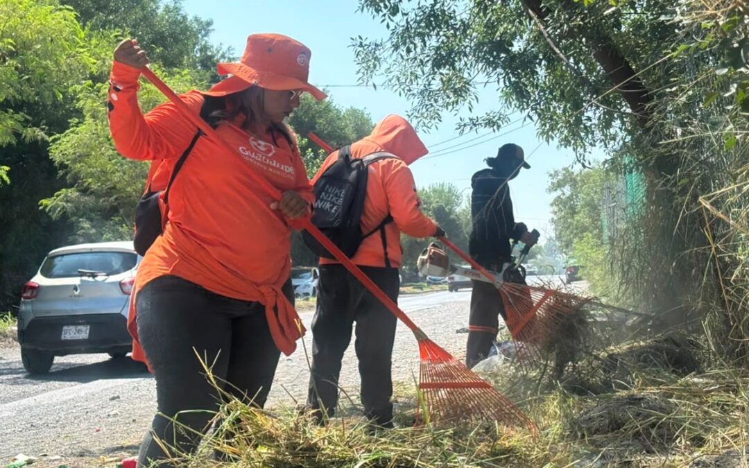Transforman más de 70 colonias de Guadalupe con jornada integral de limpieza