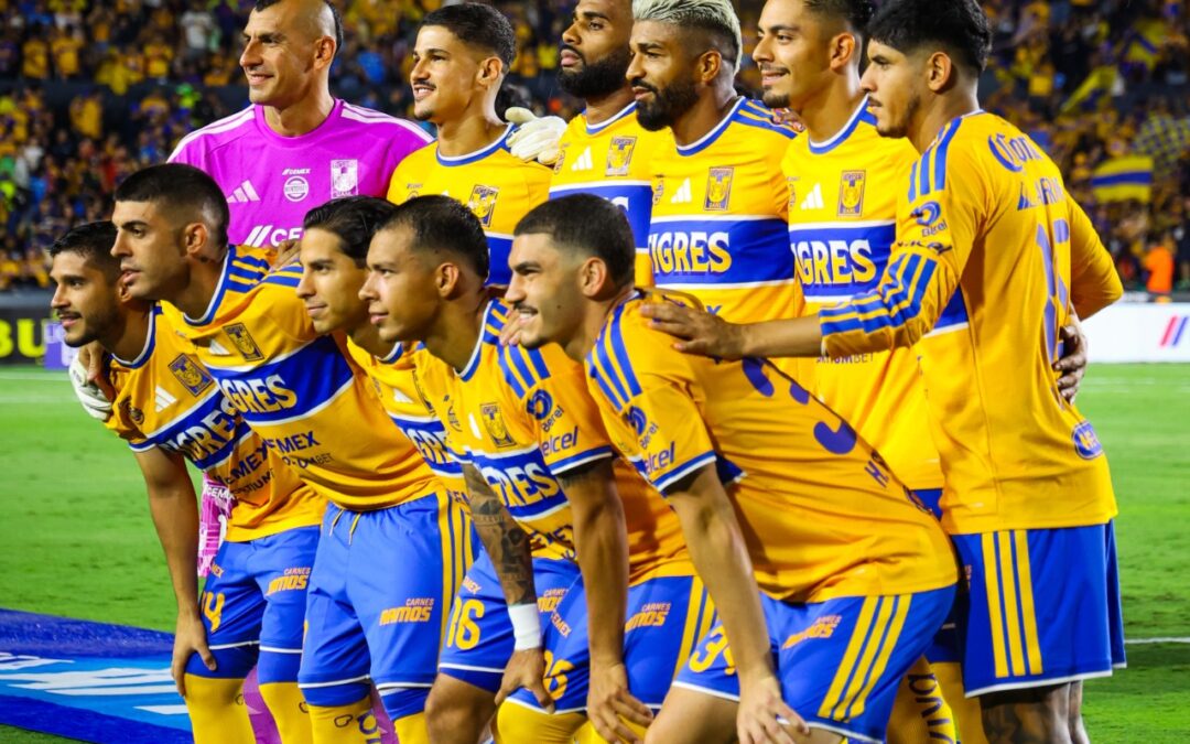 TIGRES: EL LABERINTO SIN SALIDA DE UN GIGANTE QUE OLVIDÓ SU ESENCIA